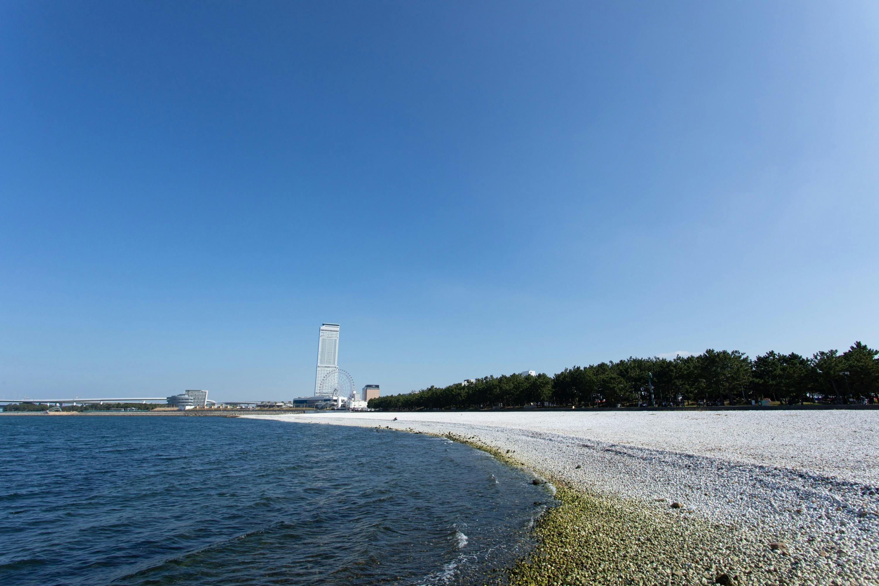 3番目のメイン画像