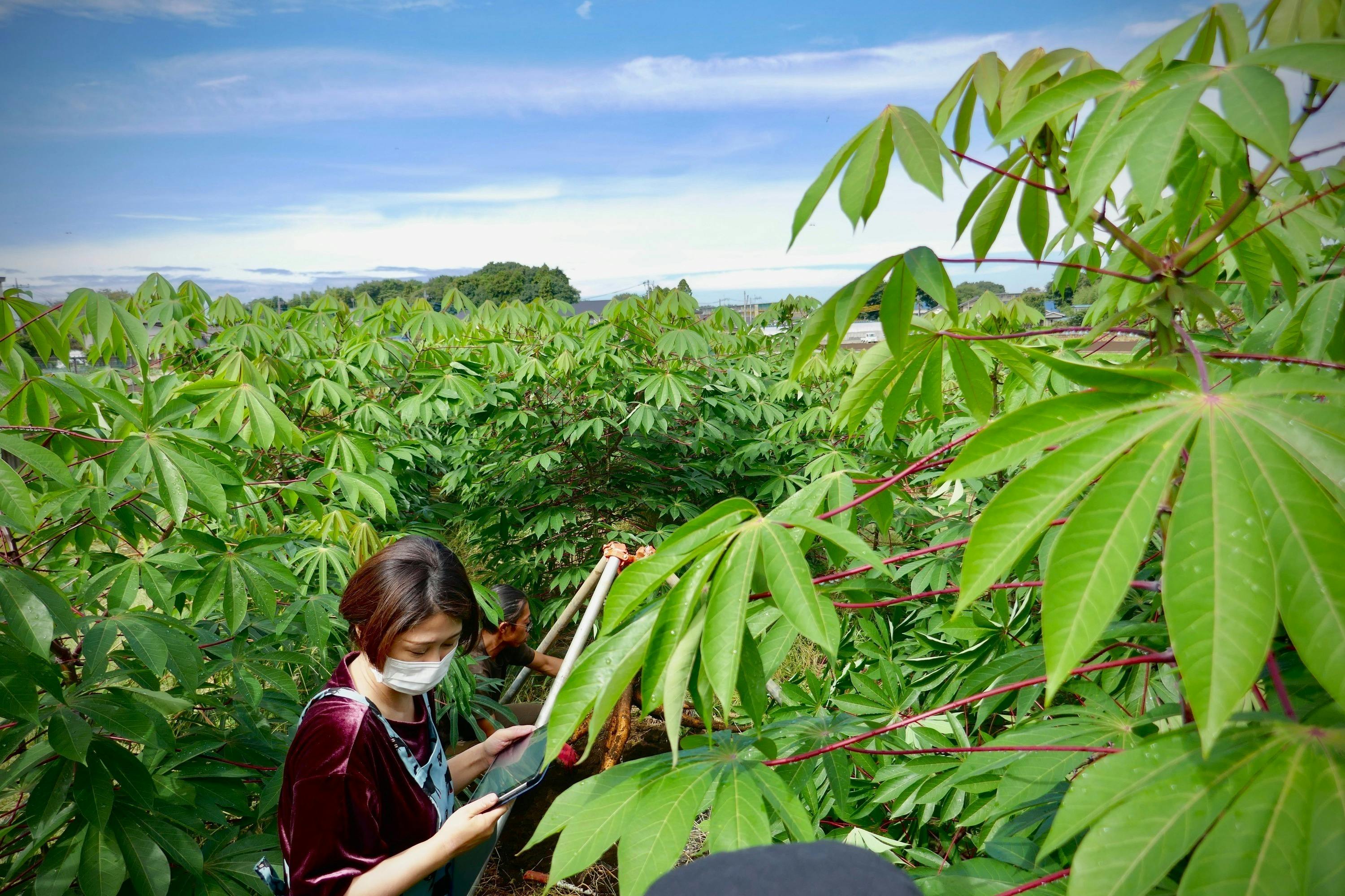 5番目のメイン画像