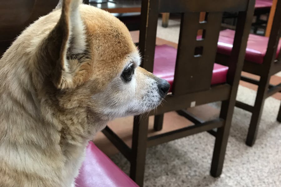 1番目のメイン画像