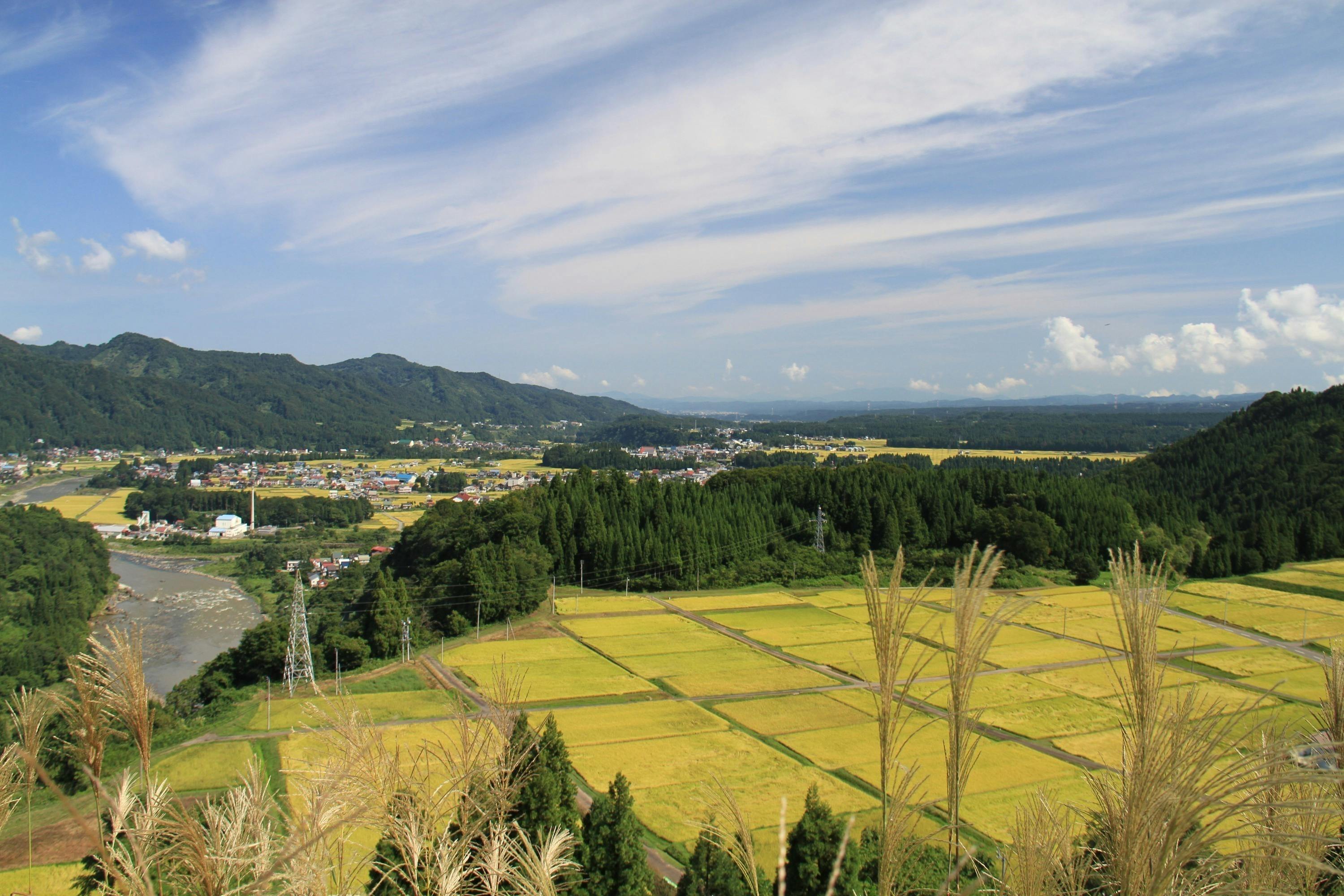 5番目のメイン画像