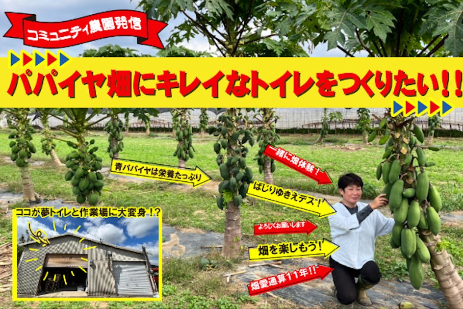 コミュニティ農園発信＞パパイヤ畑にキレイなトイレをつくりたい