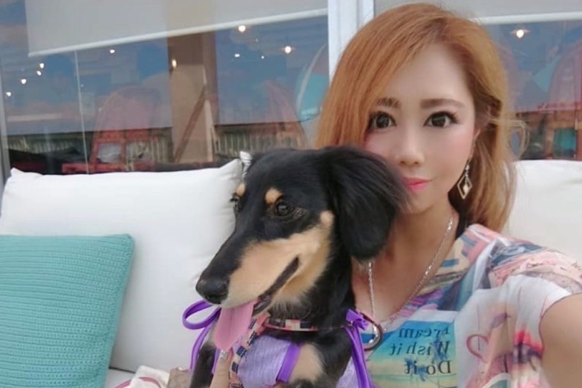 5番目のメイン画像