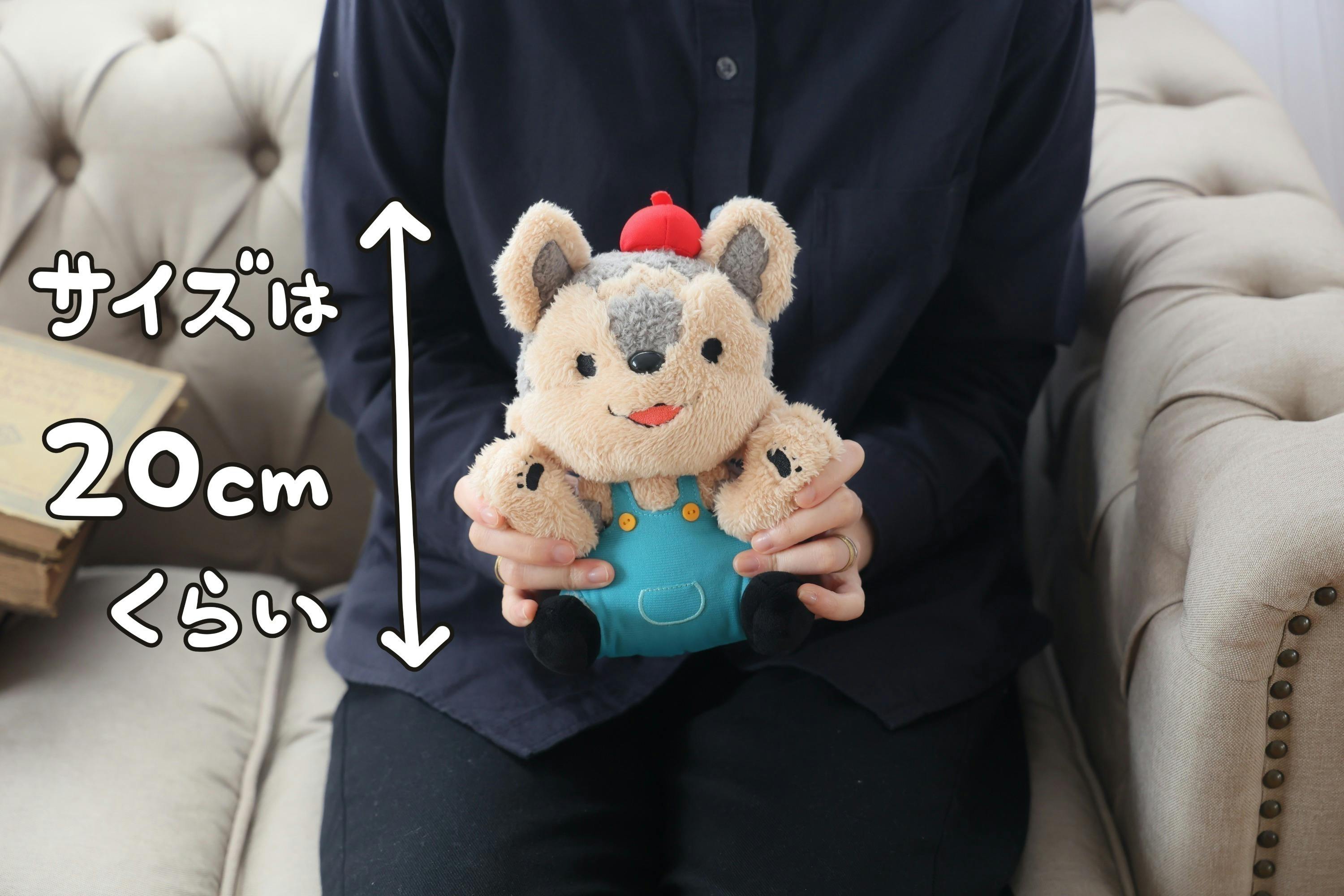 3番目のメイン画像