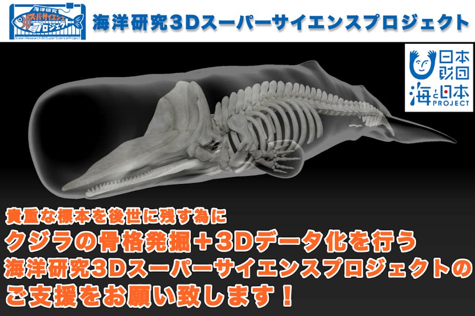 コメント一覧 - 最新の3D技術を使って世界的に希少な“コククジラ”の骨格標本を後世に残したい！ - CAMPFIRE (キャンプファイヤー)