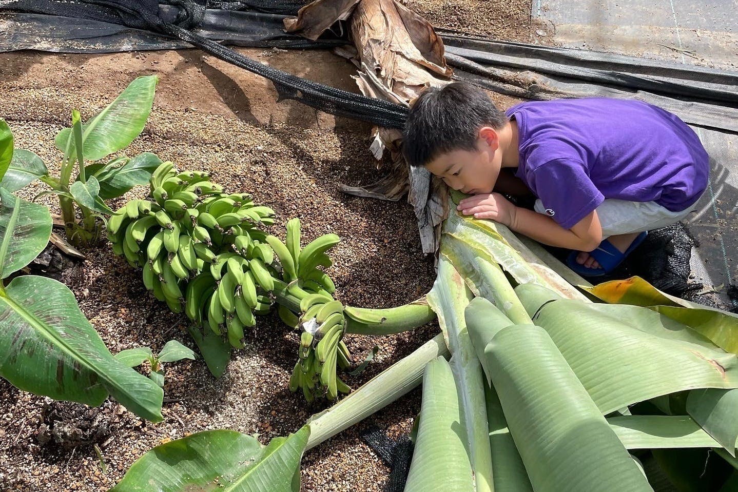 5番目のメイン画像