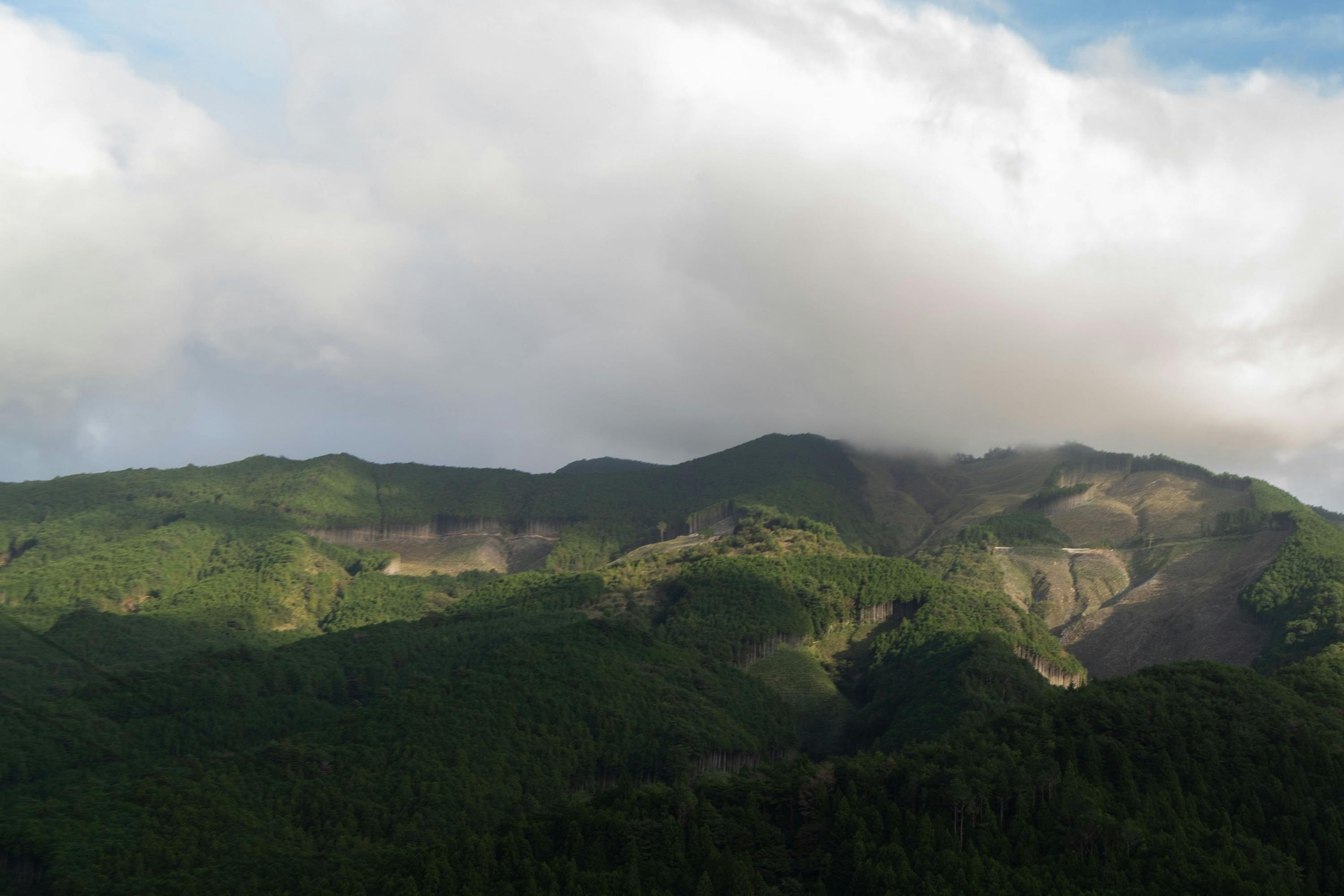 3番目のメイン画像