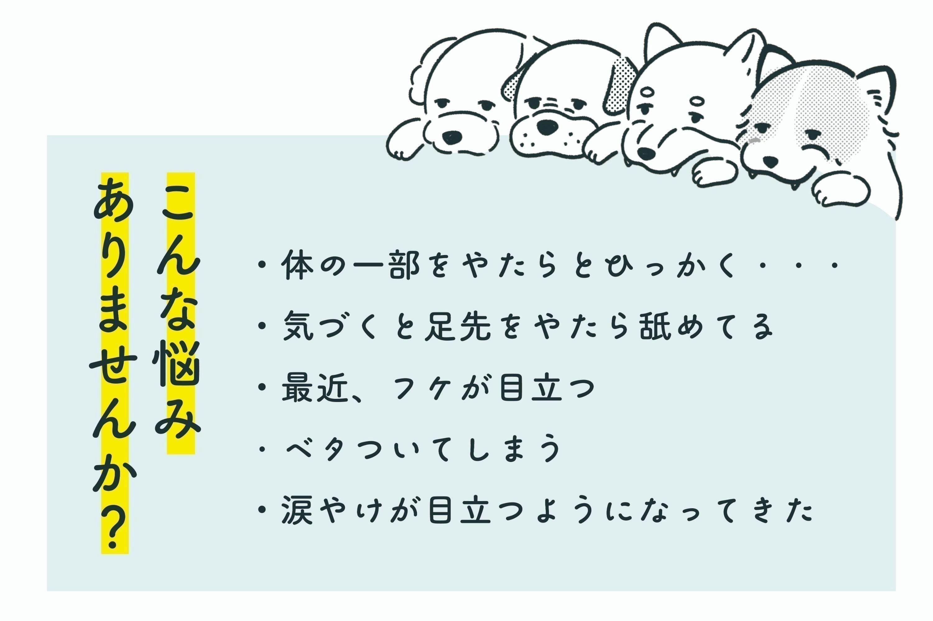 2番目のメイン画像