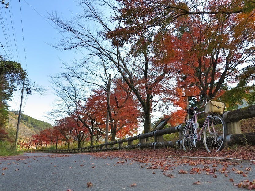 5番目のメイン画像