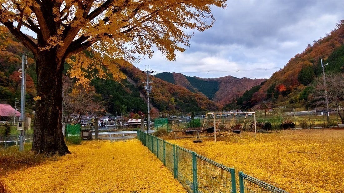 4番目のメイン画像