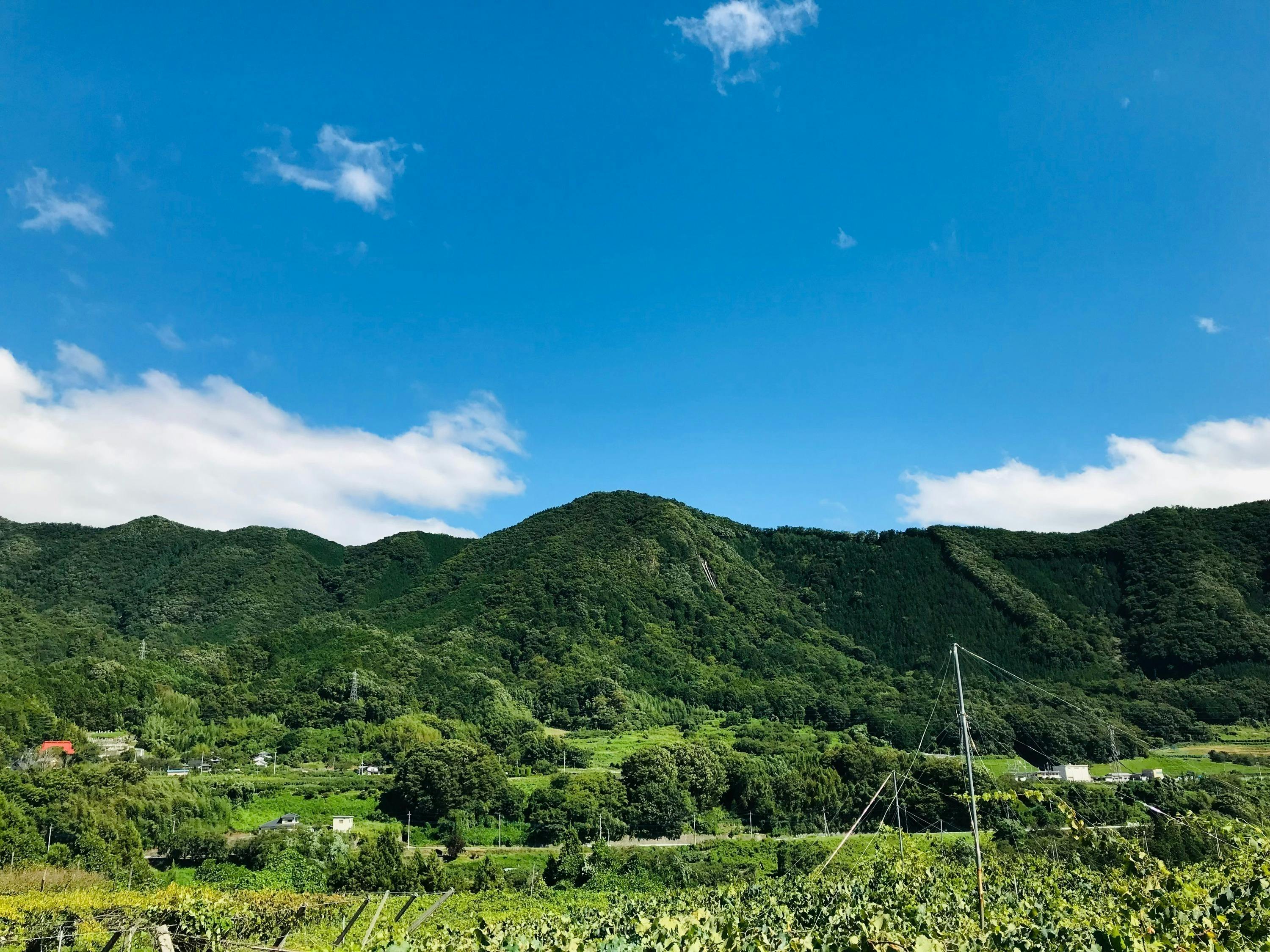 5番目のメイン画像