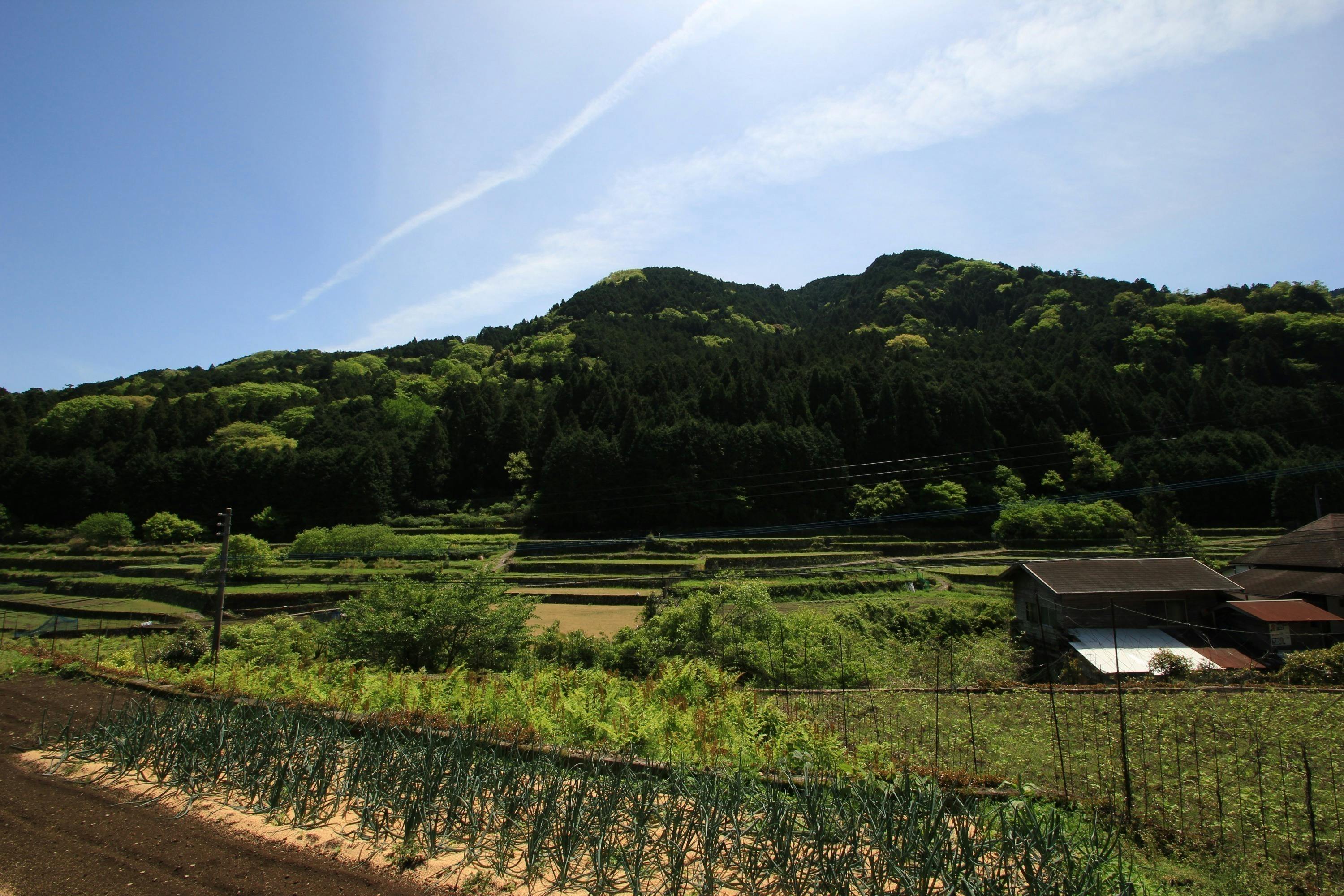 5番目のメイン画像