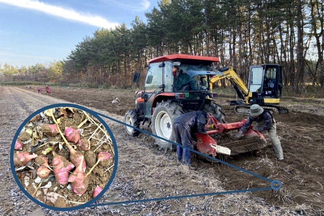 5番目のメイン画像