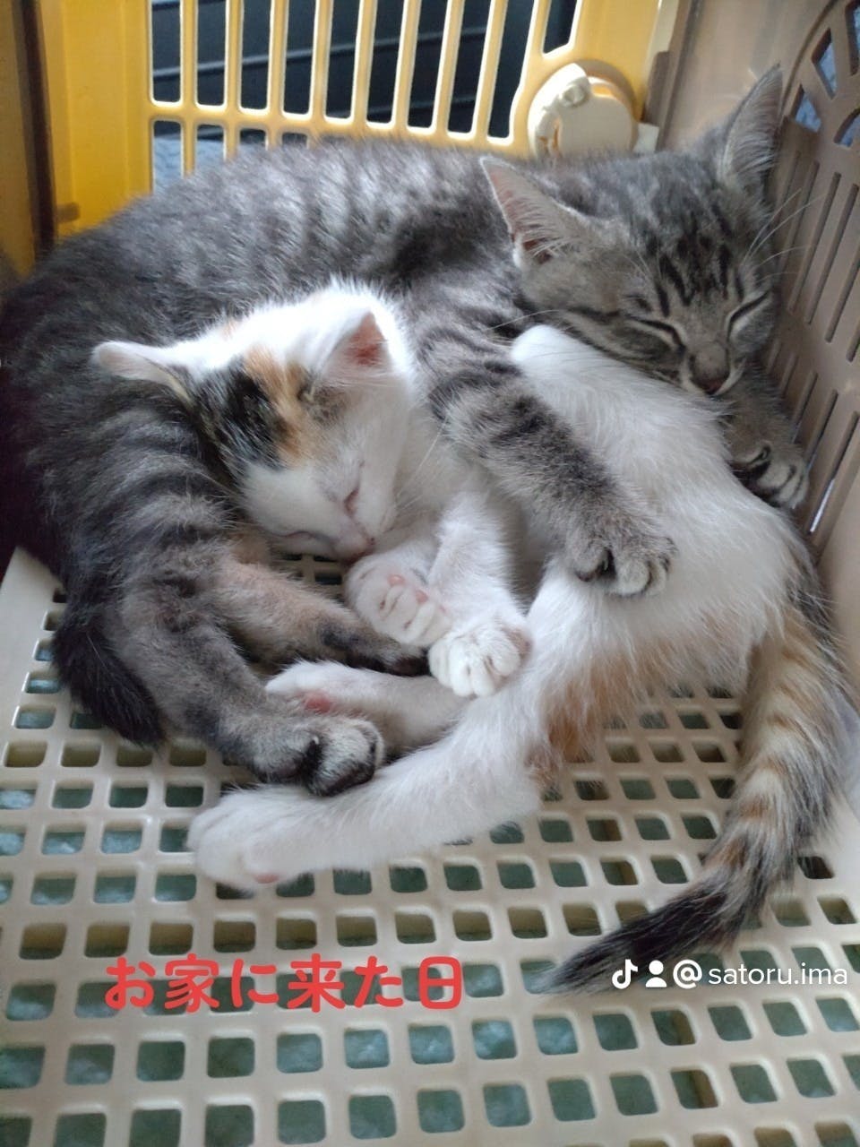 3番目のメイン画像