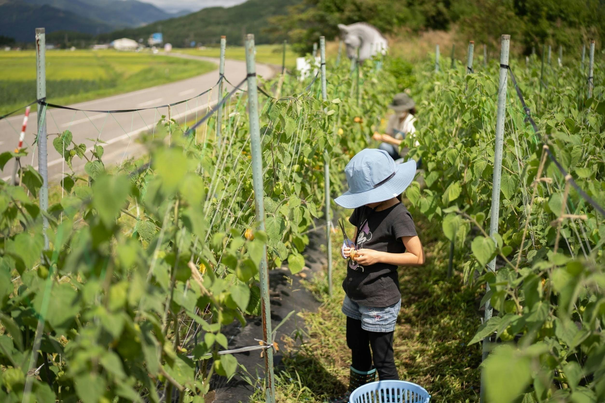 4番目のメイン画像