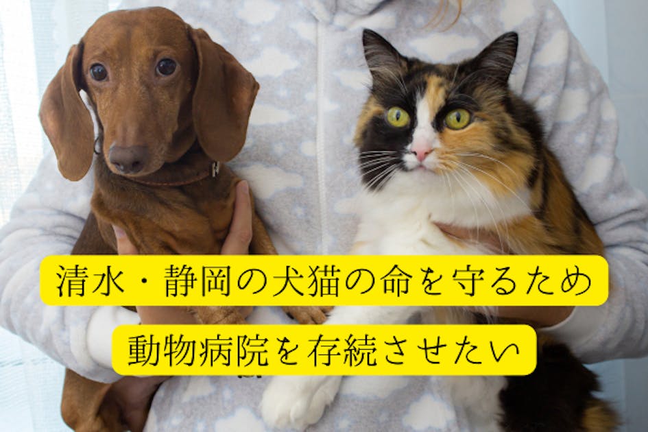 清水・静岡地域の犬猫の命を守るため、動物病院を存続させたい。