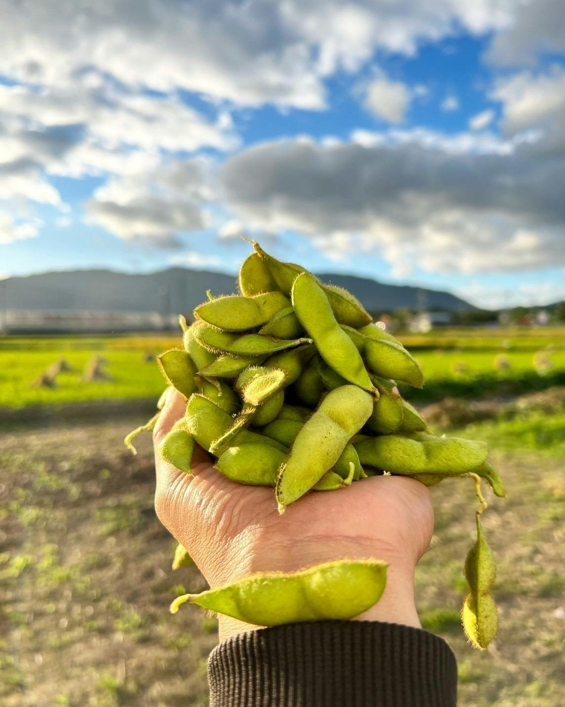 5番目のメイン画像