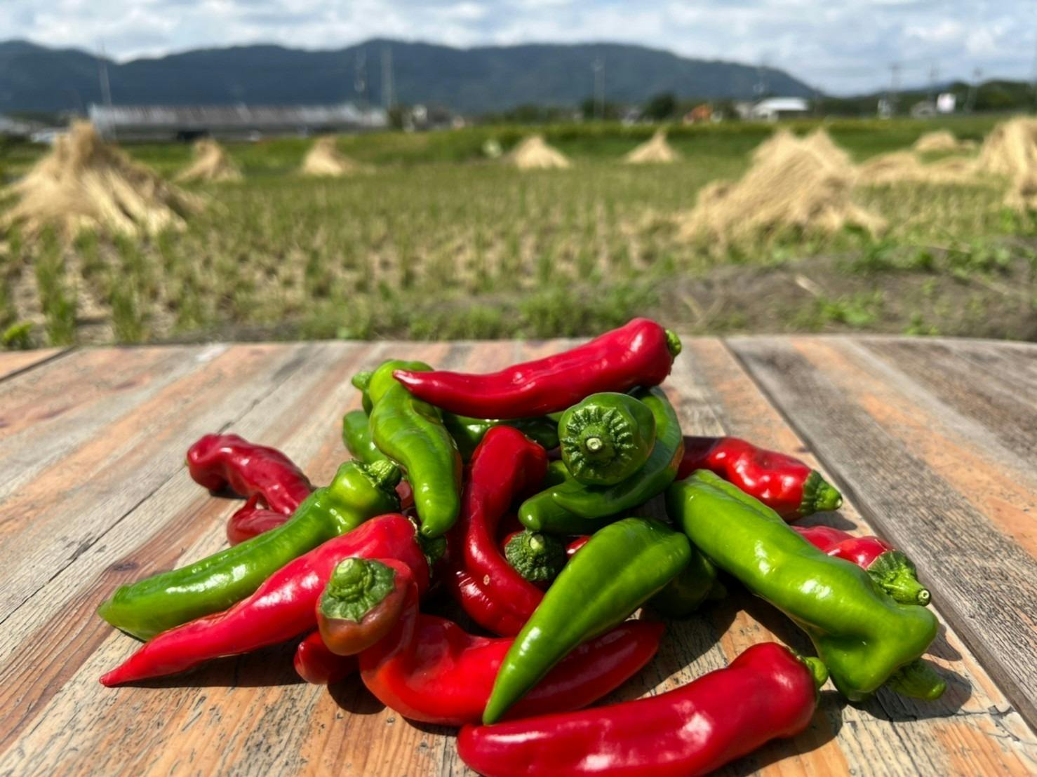 4番目のメイン画像