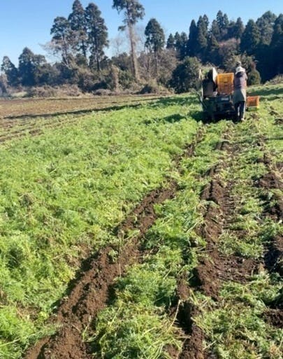 2番目のメイン画像