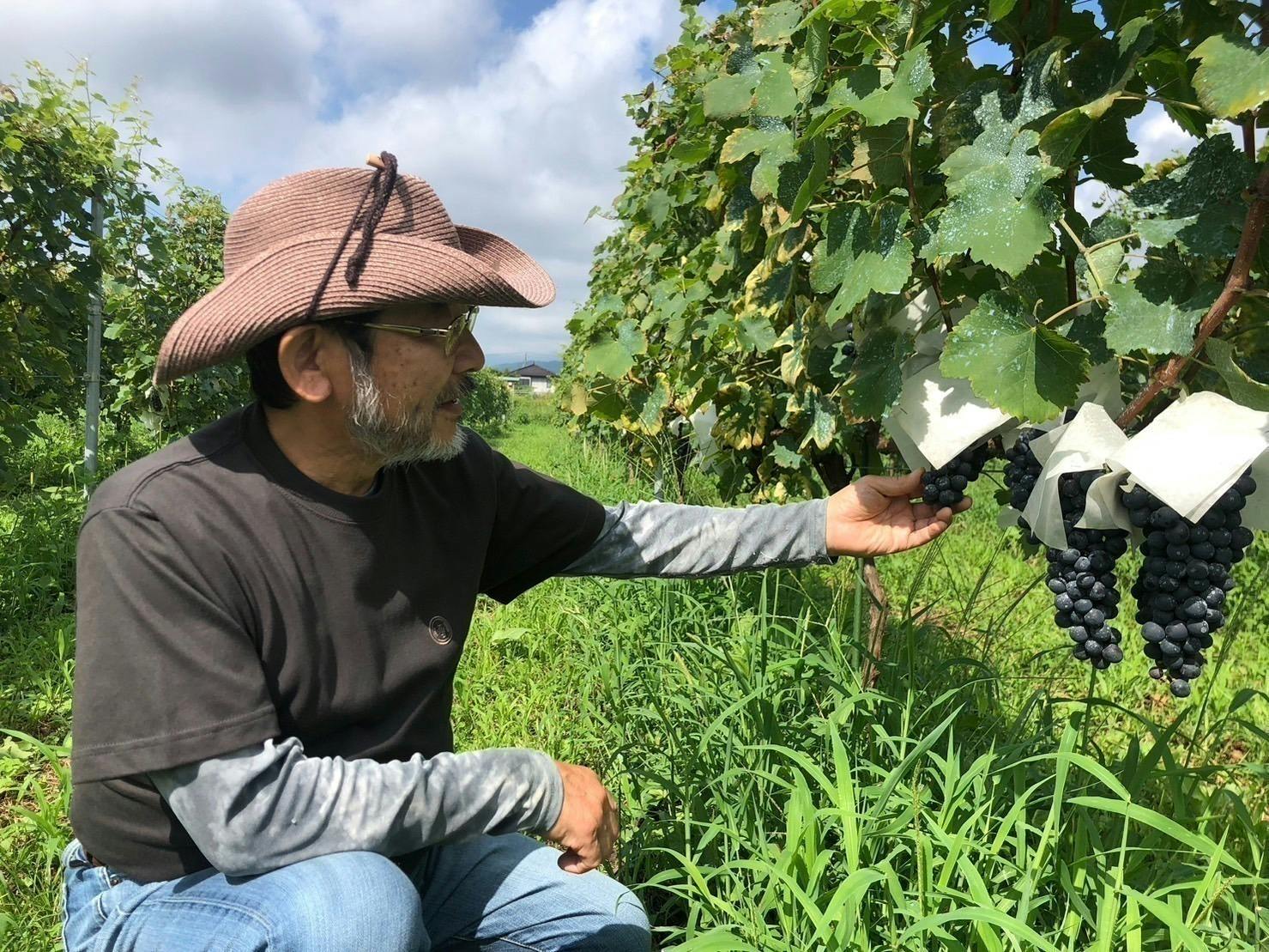 2番目のメイン画像