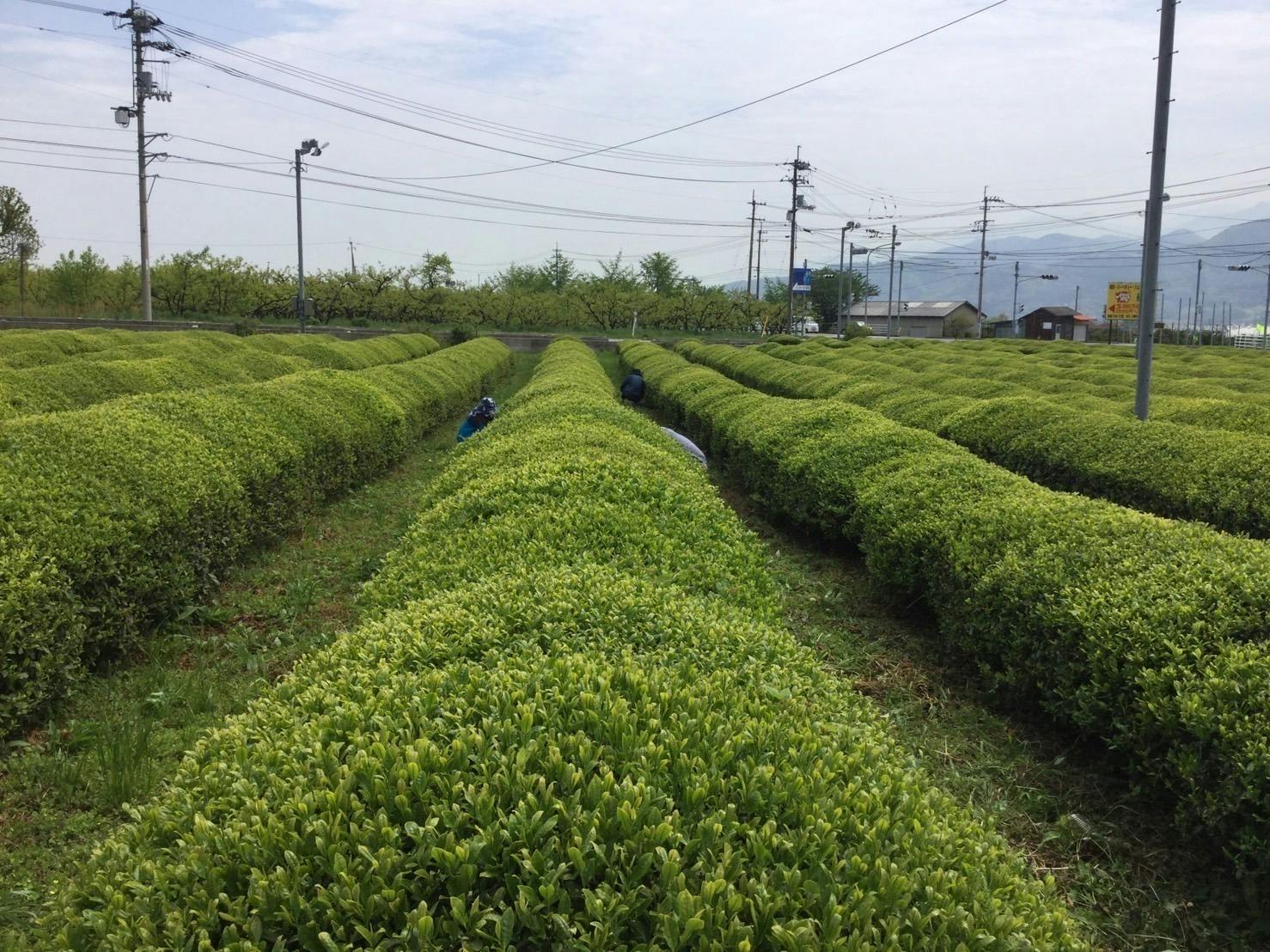 3番目のメイン画像