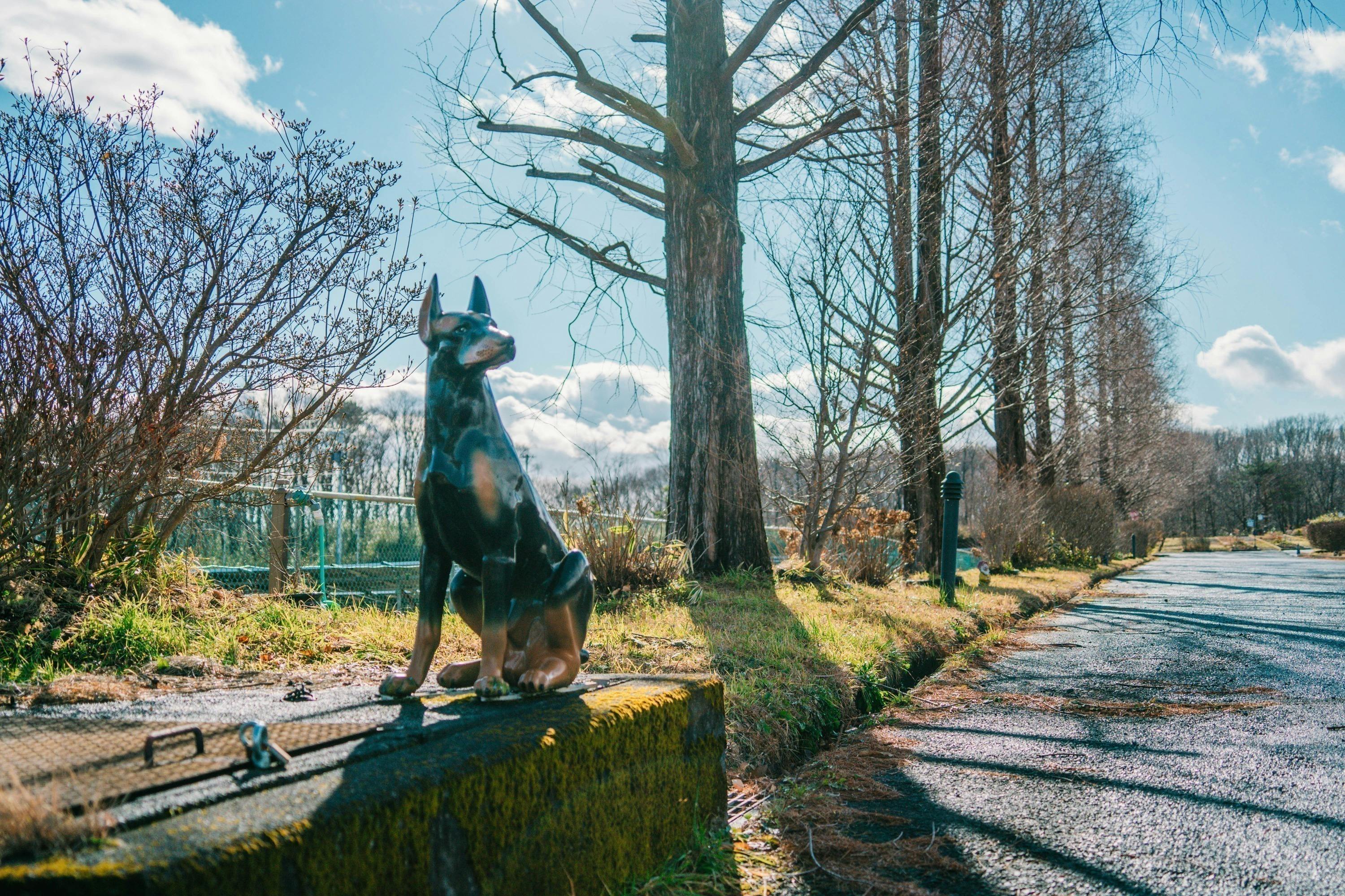 4番目のメイン画像