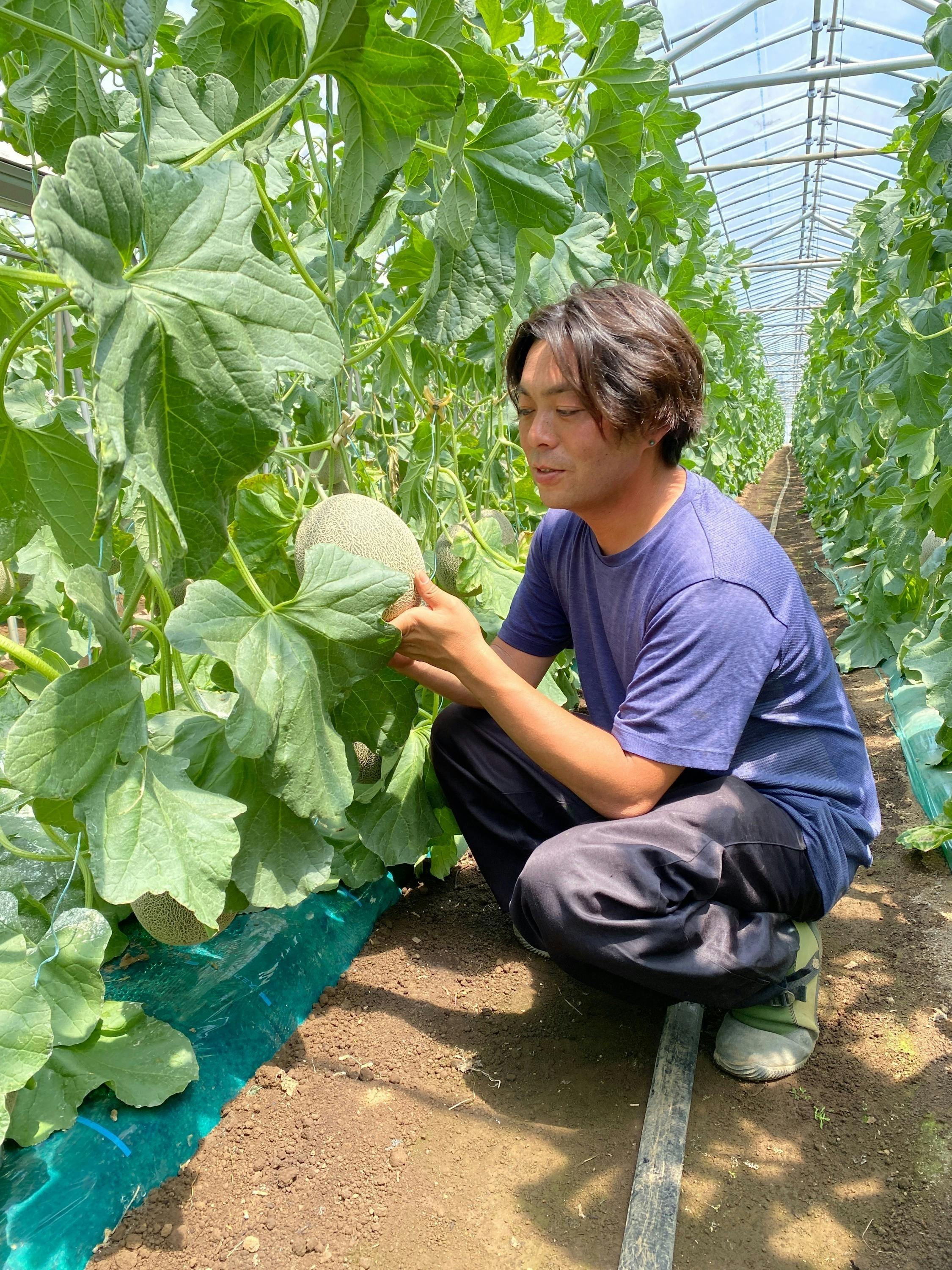 5番目のメイン画像