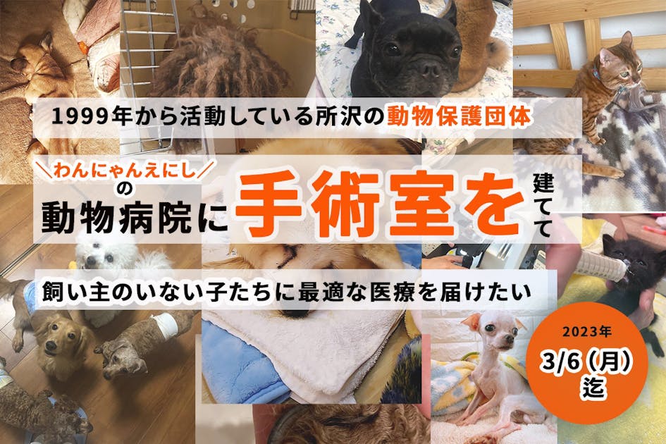 所沢の保護施設＼わんにゃんえにし／の病院に、手術室を