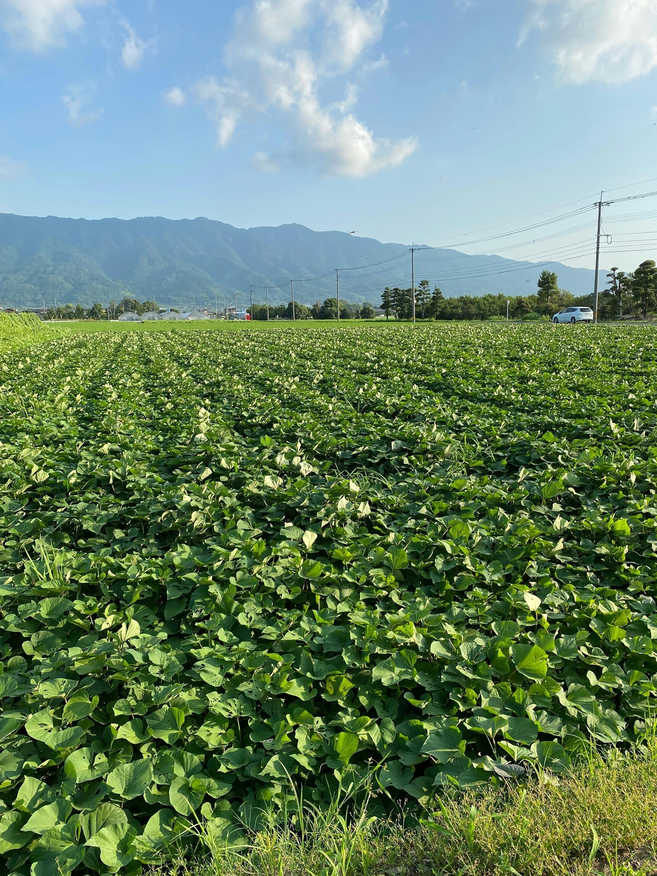 4番目のメイン画像