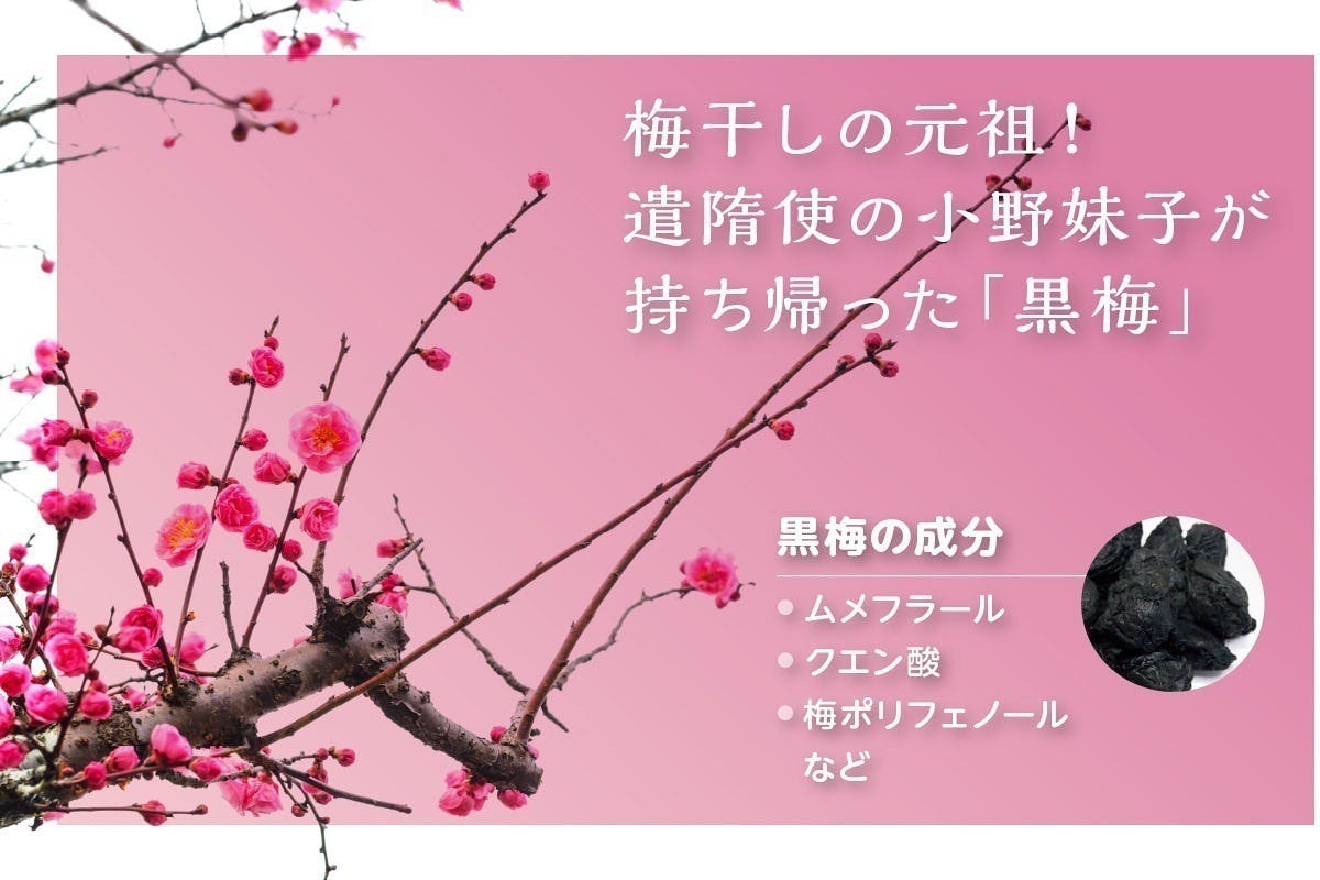 和漢で温活！巡り力アップ！黒梅配合ドリンクの酸梅湯(さんめいたん)が