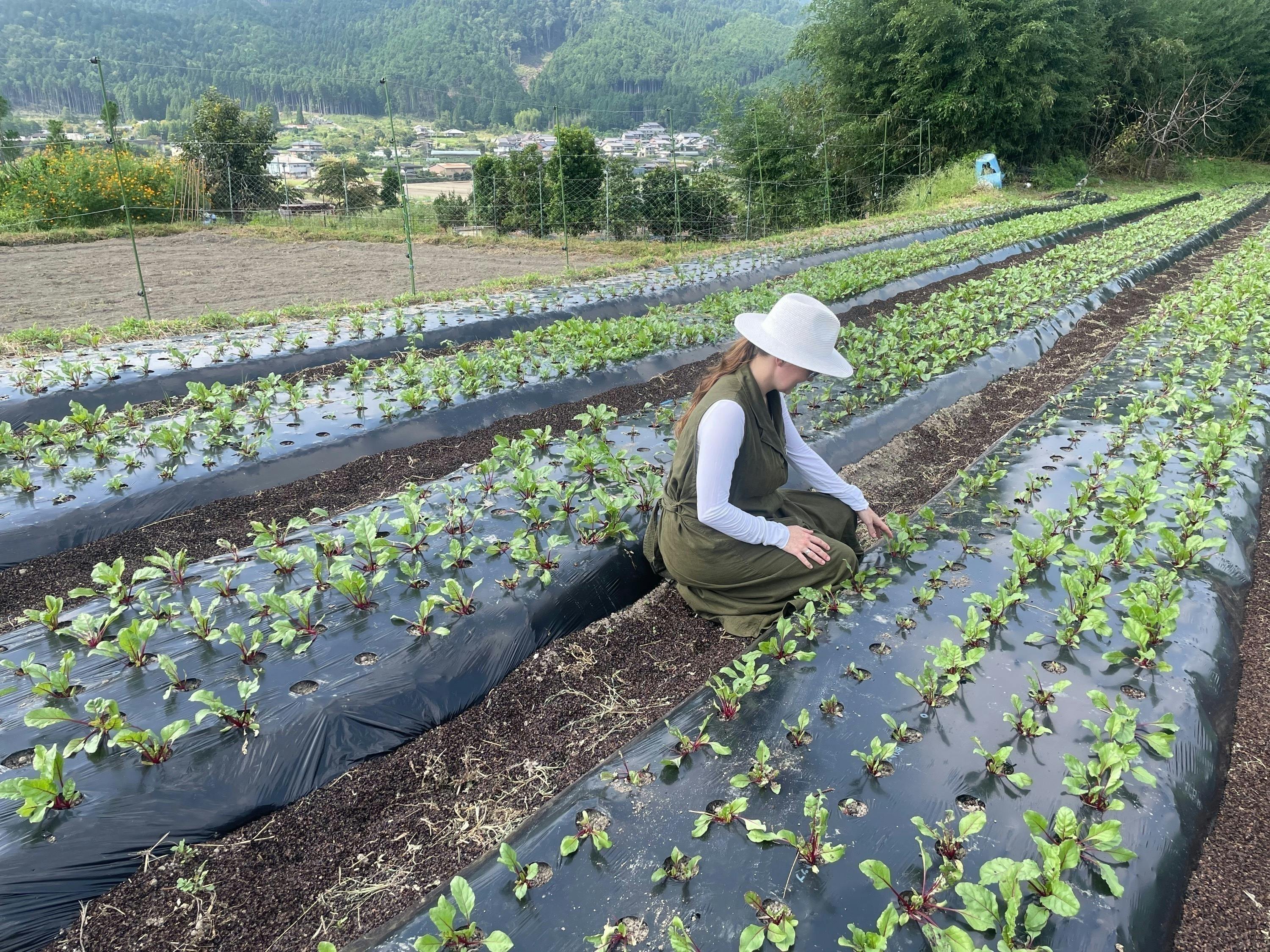 4番目のメイン画像