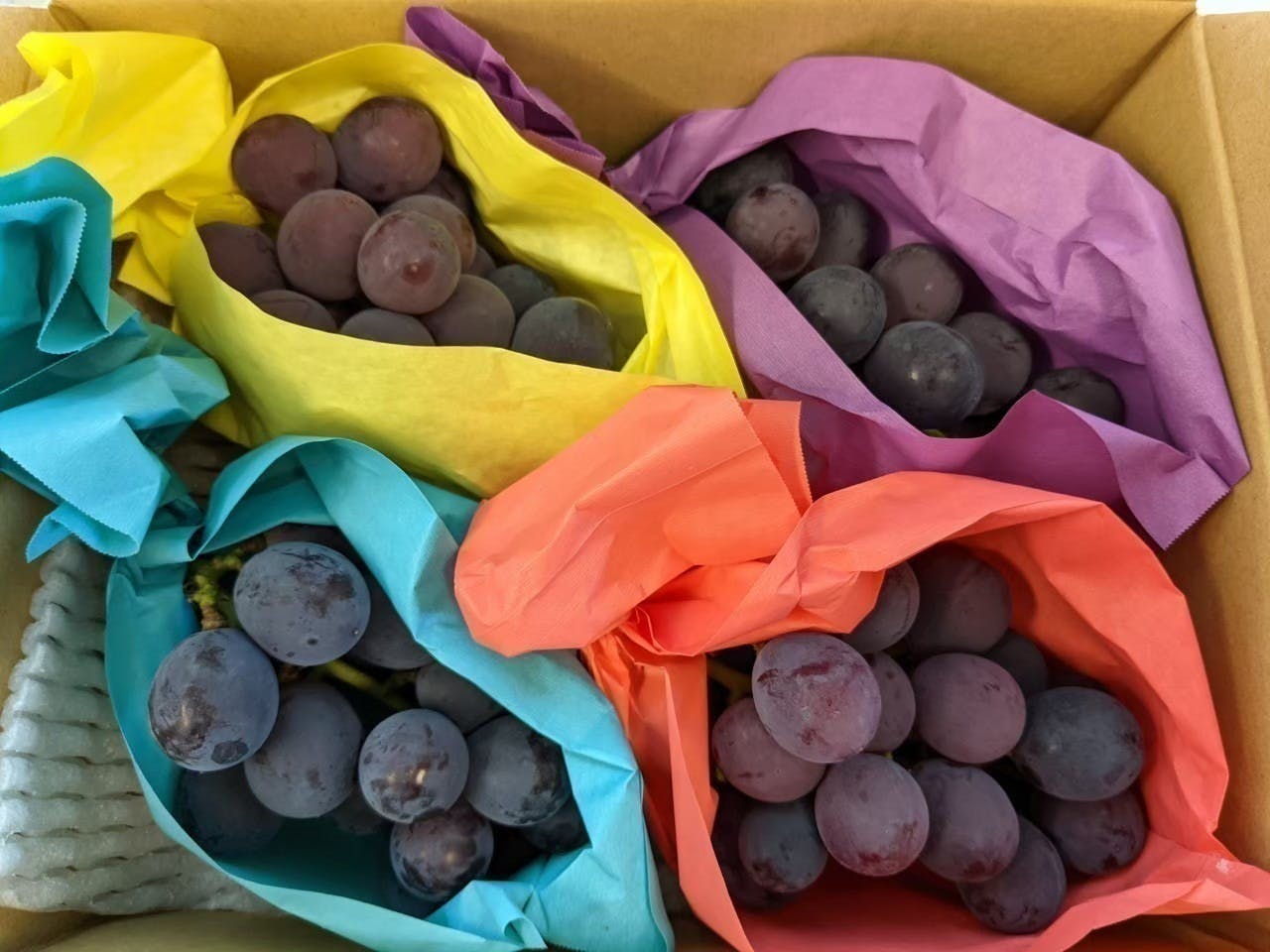 3番目のメイン画像