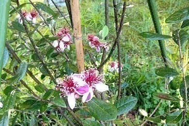 4番目のメイン画像