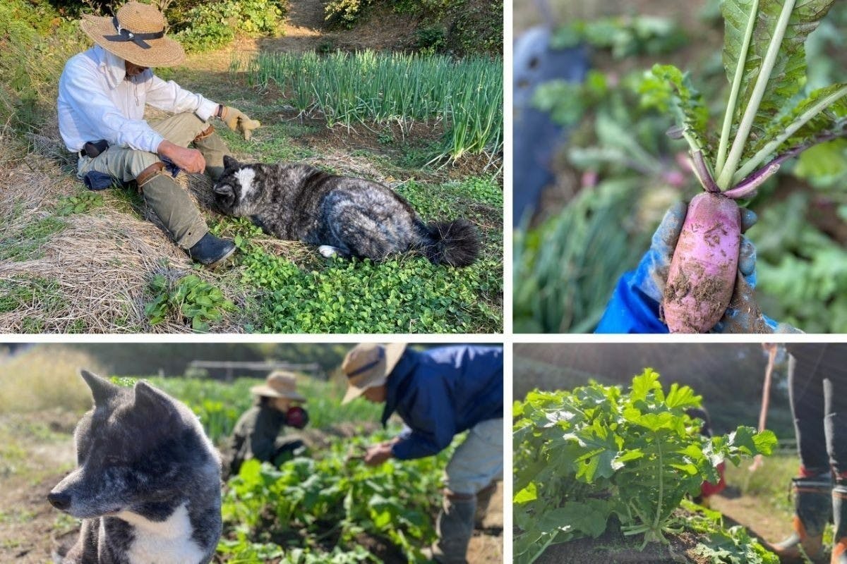 5番目のメイン画像