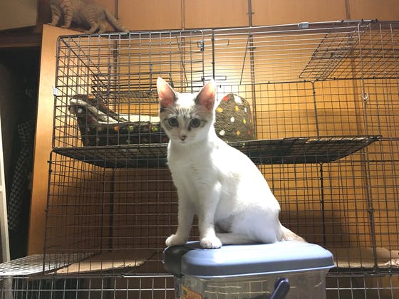 1番目のメイン画像