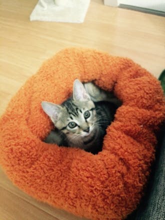 1番目のメイン画像