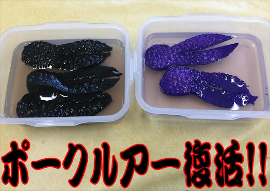 ポークルアー復活プロジェクト - CAMPFIRE (キャンプファイヤー)