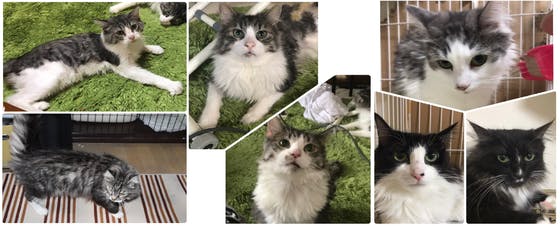 1番目のメイン画像