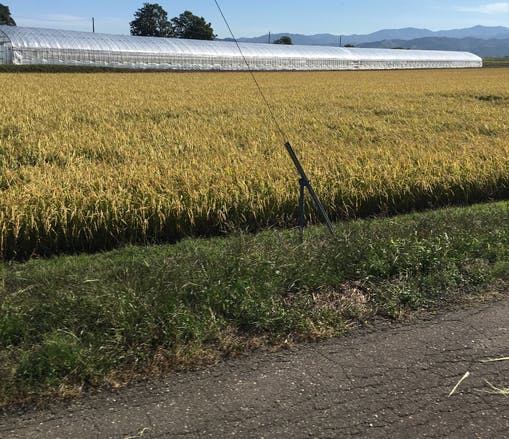 1番目のメイン画像