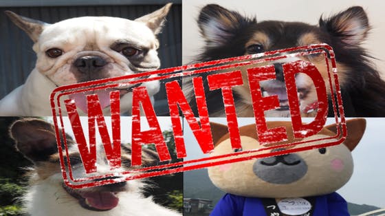 1番目のメイン画像