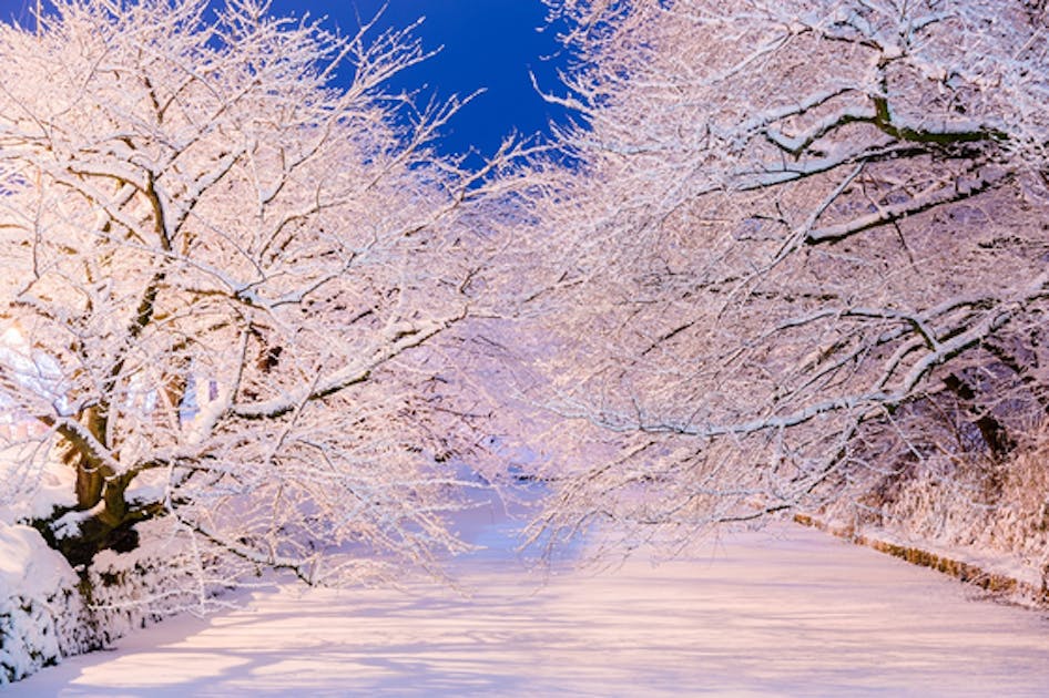 599e7953-3be4-4593-a983-