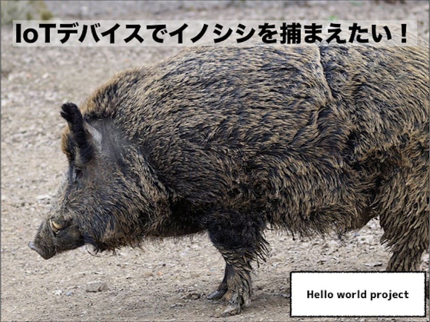 5a200091-d85c-464c-8891-