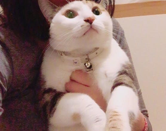 1番目のメイン画像