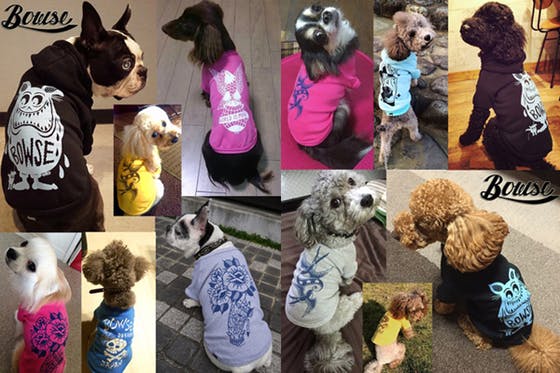 各犬種のサイズに合ったオリジナルデザインの犬服を製作して反殺処分を