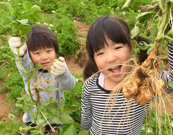 1番目のメイン画像