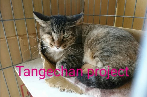 1番目のメイン画像