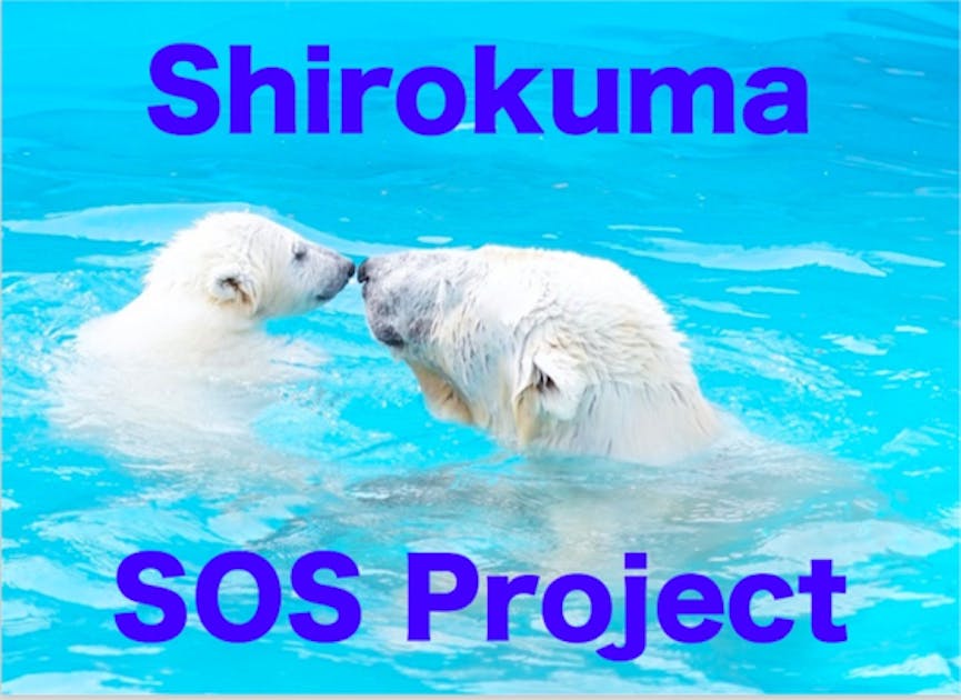 F10キャンバス　シロクマ　『安らぎに眠るシロクマ』 F10キャンバス シロクマ 『安らぎに眠るシロクマ』 F10キャンバス