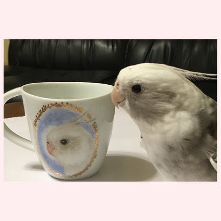 1番目のメイン画像