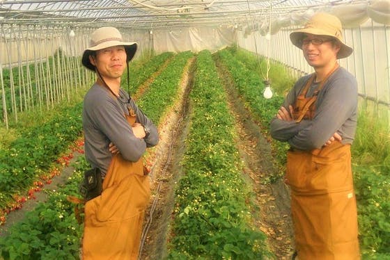 1番目のメイン画像