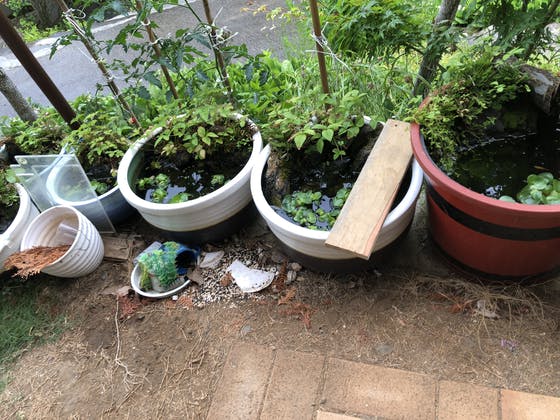 1番目のメイン画像