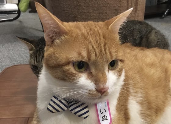 1番目のメイン画像